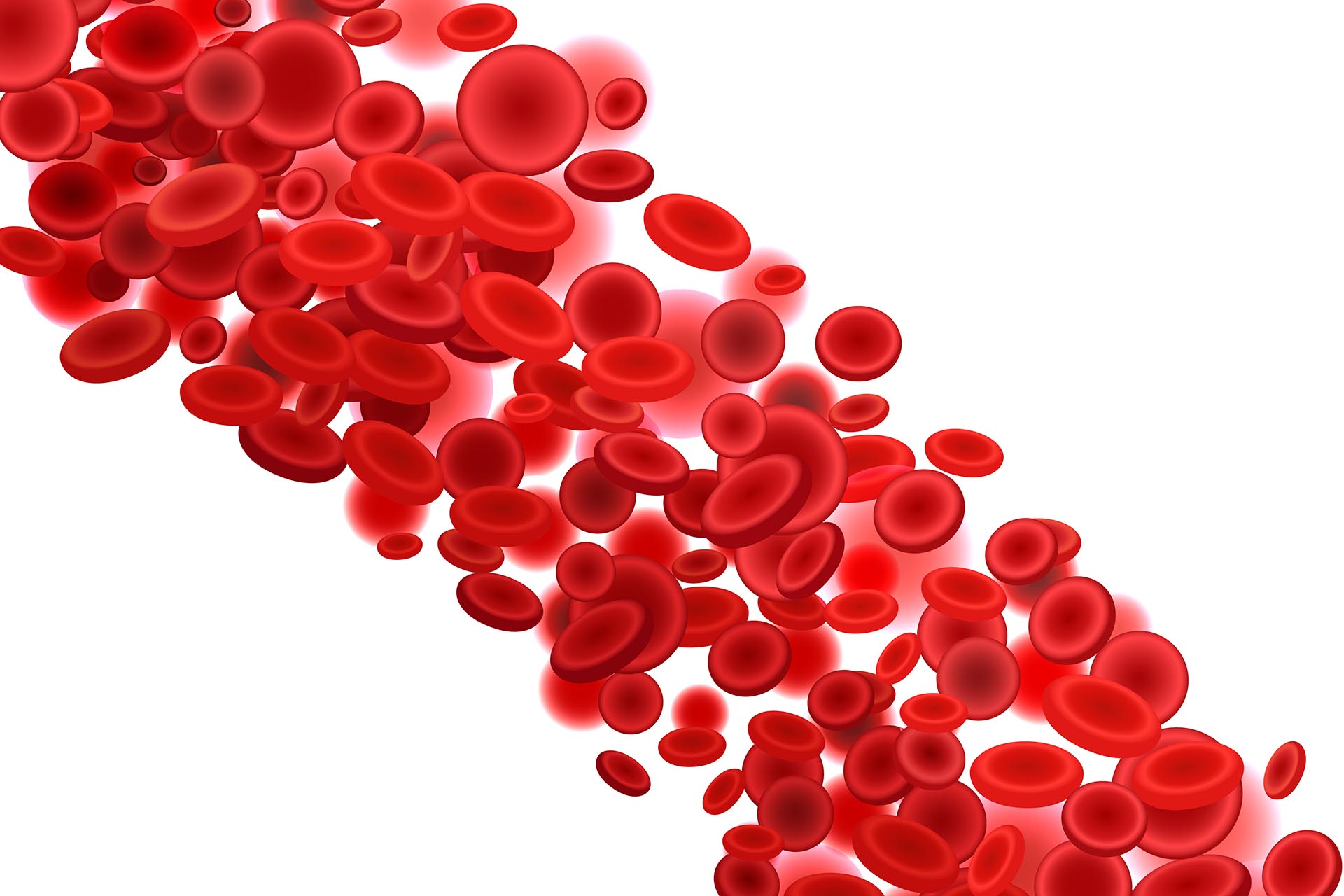 Cardiovascular Picture