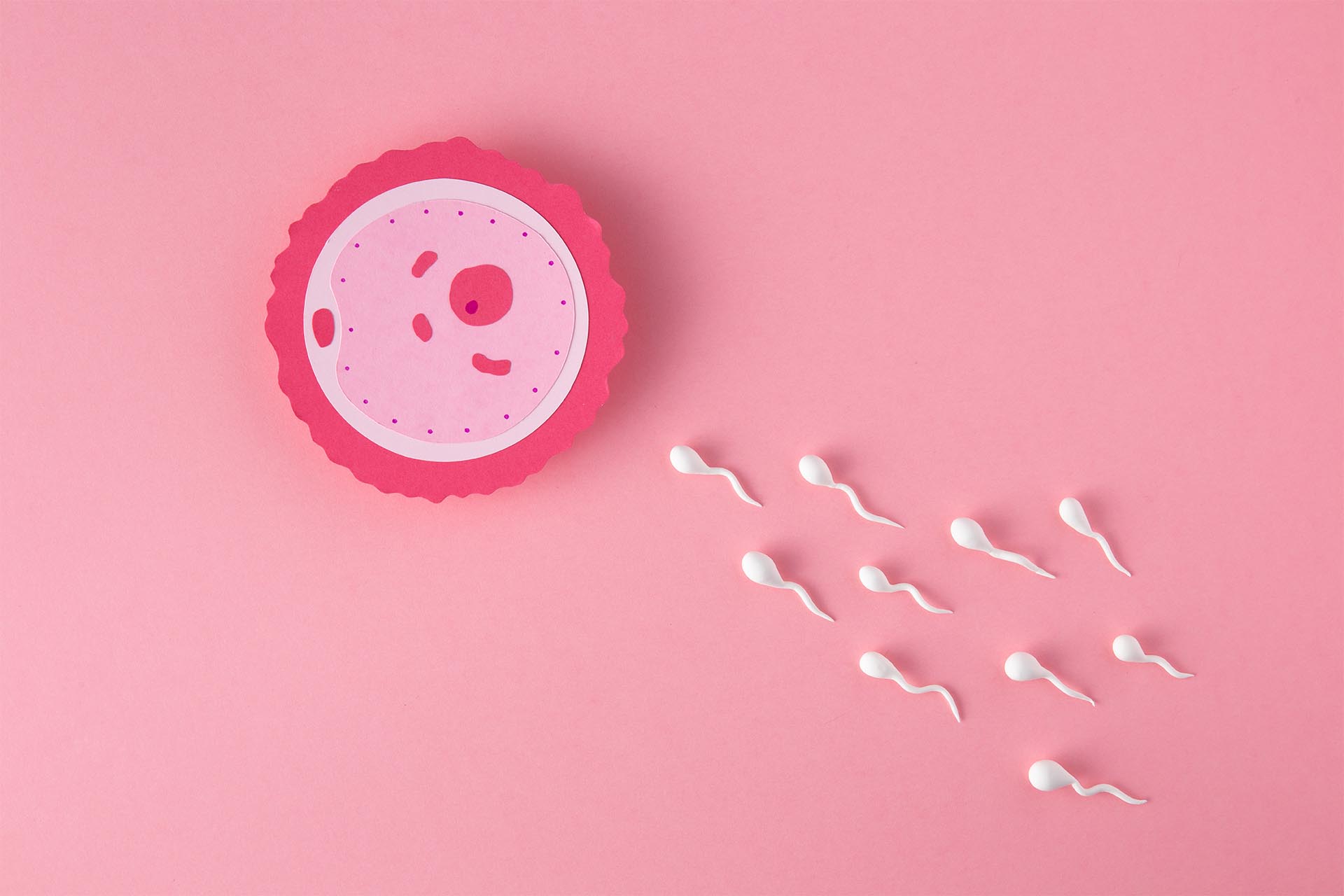 Fertilizimi Invitro Shqiperi