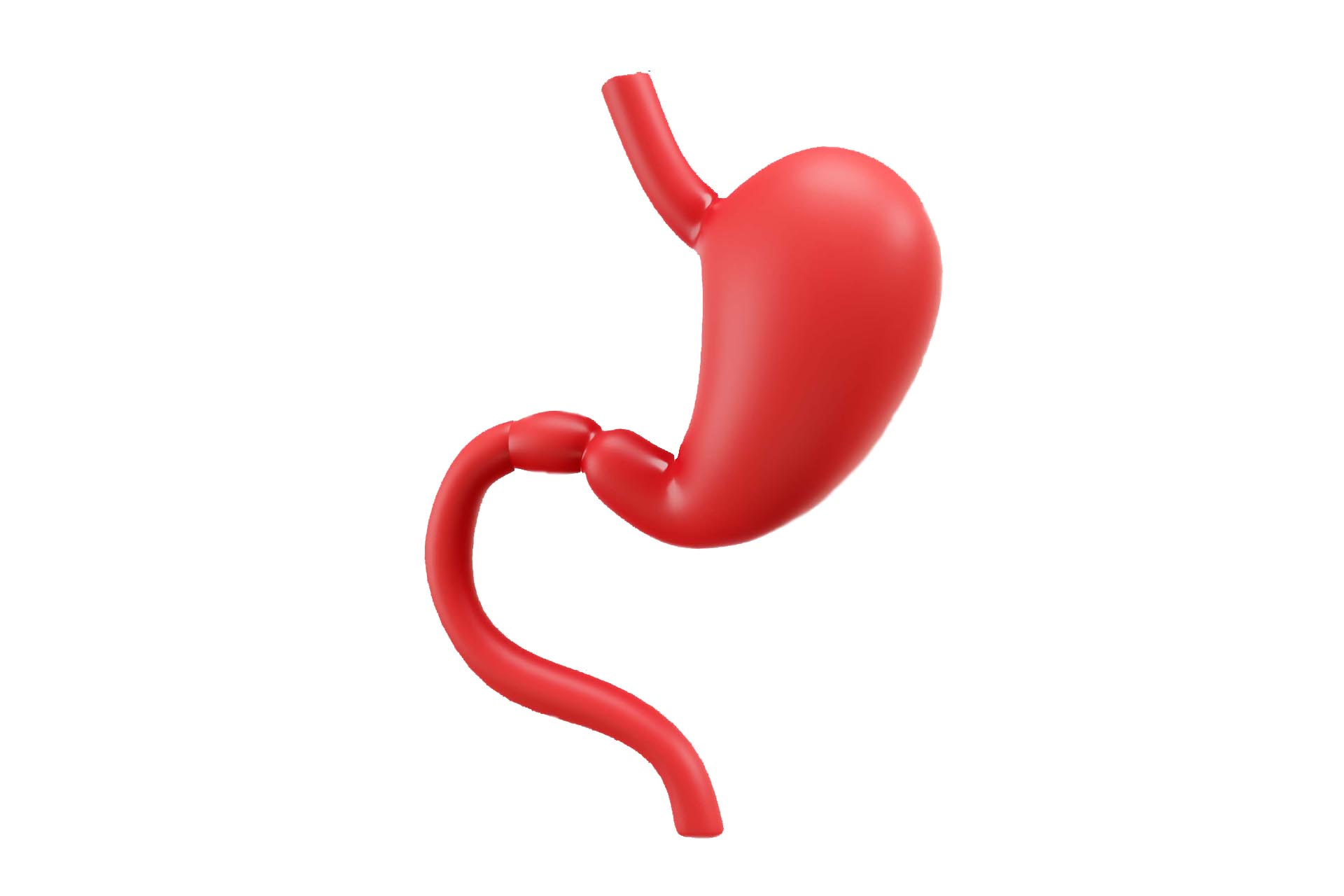 Gastrolog Trita Hospital