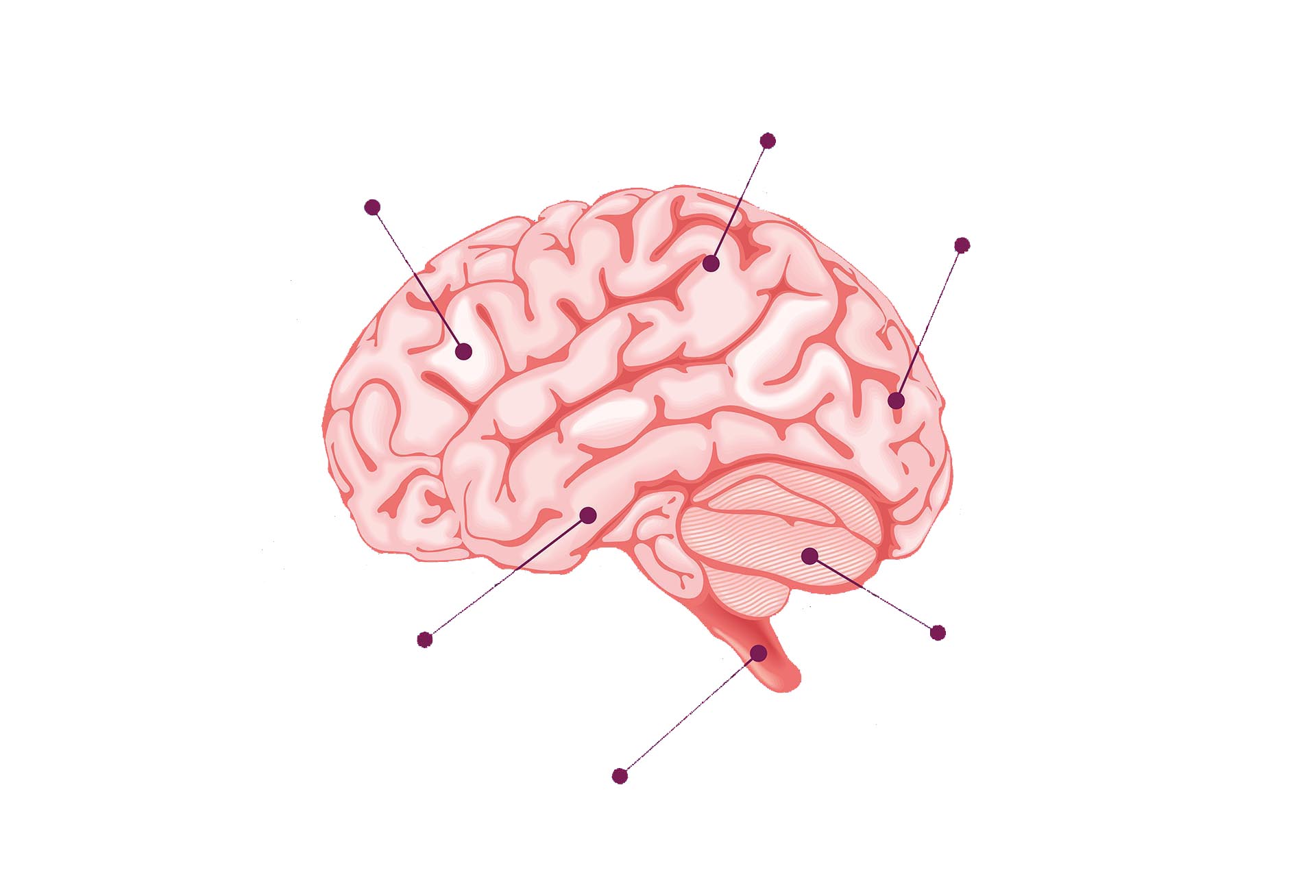 Mjek Neurolog