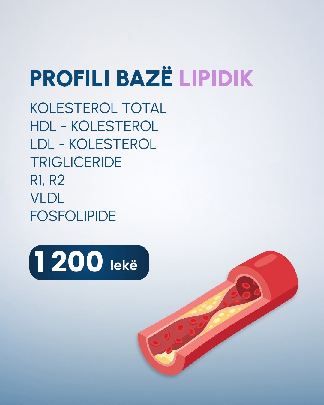 Oferta Trita 8