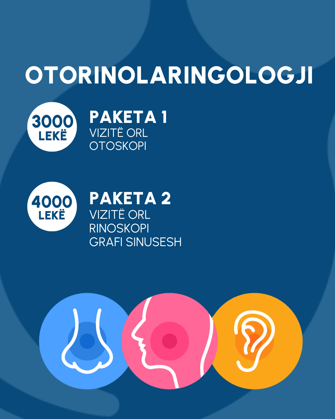 Oferta 3 Trita